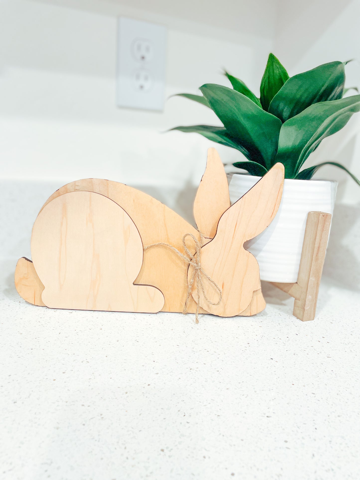 3d Bunnies