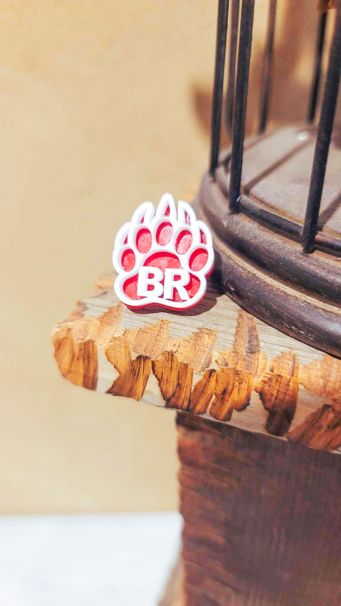 BR paw tie tack