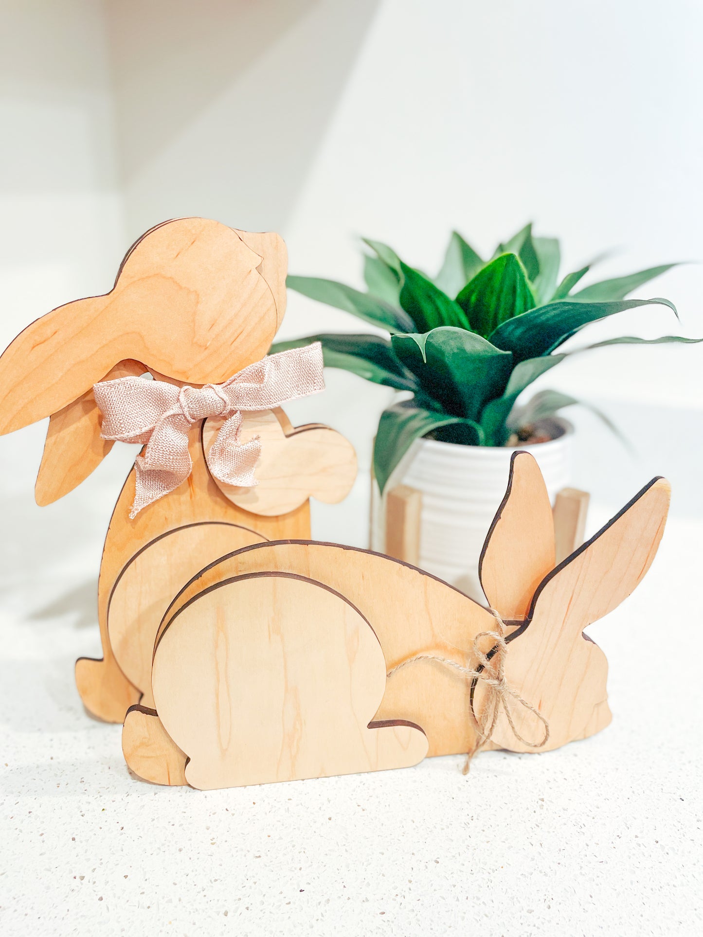 3d Bunnies