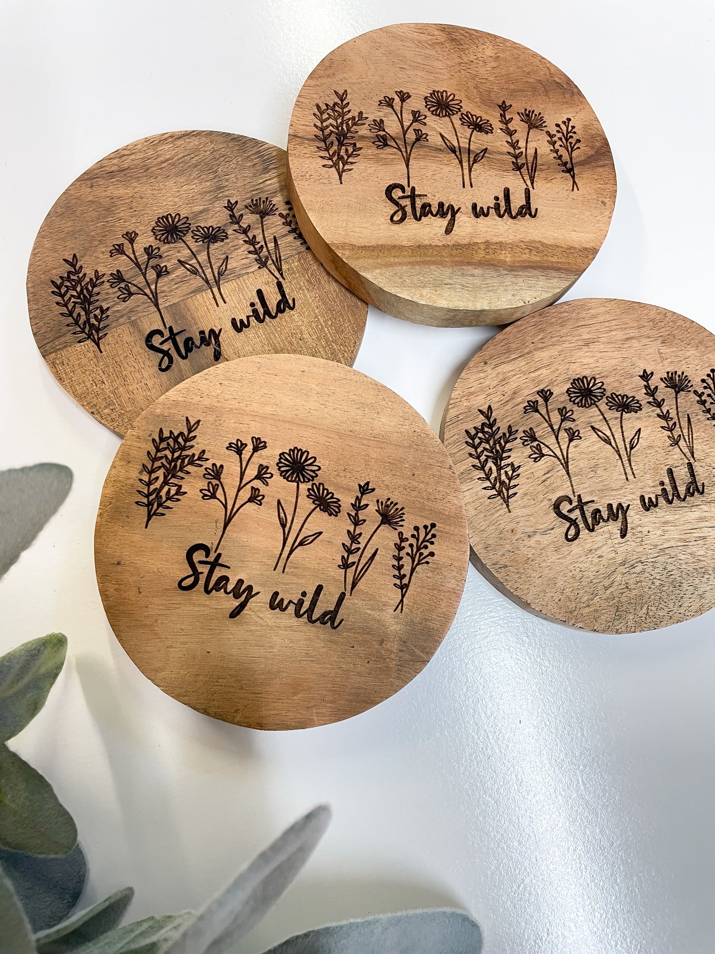 Stay Wild Coasters