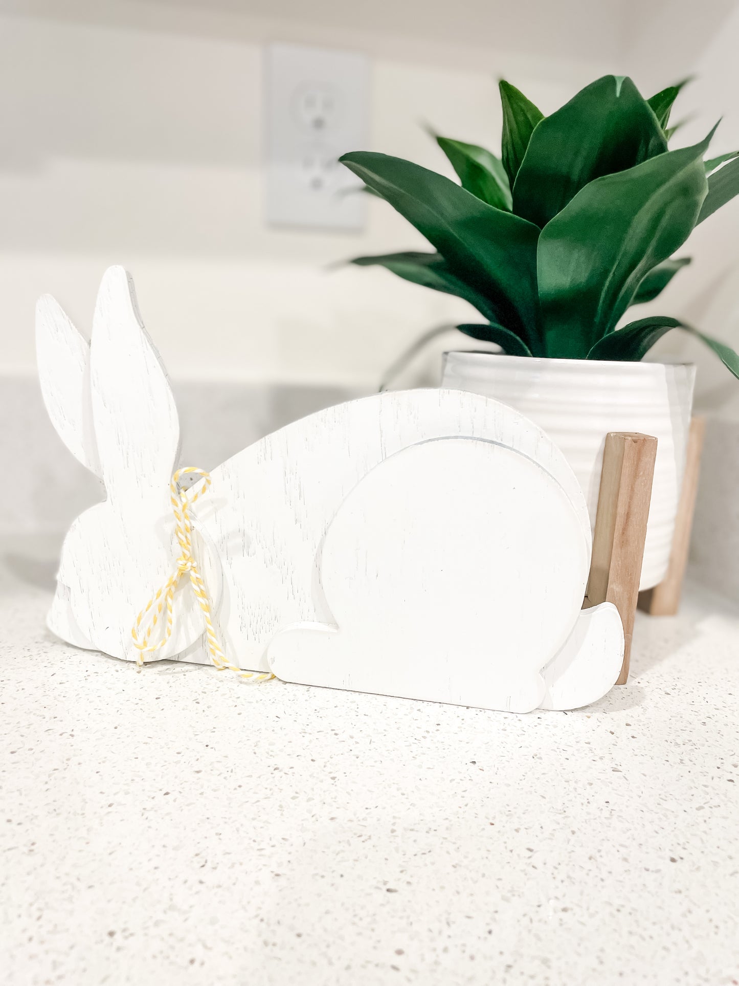 3d Bunnies